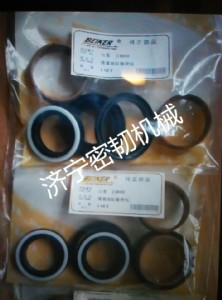 ɽؽCJCM908qo
