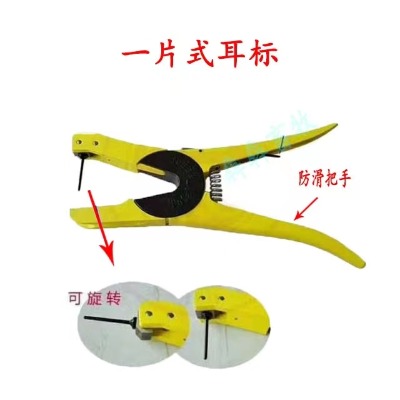 ţ(bio)Q