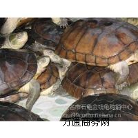 (yng)NʯX(qin)(^)