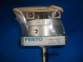 (yng)(gu)festoo͚