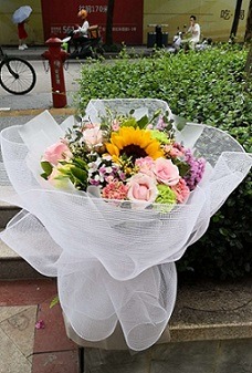 ό@ꌍw24СrII(y)