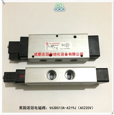 v63d513a-a219jnorgren·늴y