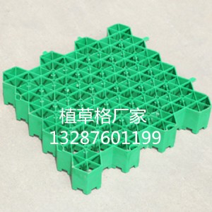 㽭ֲݸr(ji)-㽭ֲݸF(xin)؛