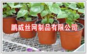 (yng)紲W(wng)/ɽ紲W(wng)Ƭ/Ҵ紲W(wng)/\䓽z紲W(wng)Ƭ(D)