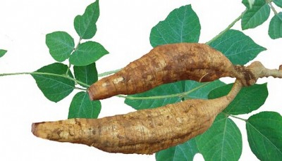 VȫWȡ