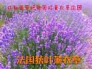 ڷ(gu)M~޹²ݷN