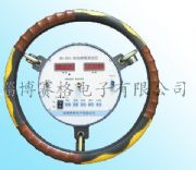 (yng)SG-310D(zhun)-D(zhun)Ǚzy(c)x