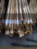 c17200ߏM(jn)~ ߏ(qing)ȸĥ~
