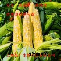 ձĠIB(yng)턩