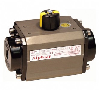 M(jn)alphair(dng)(zh)