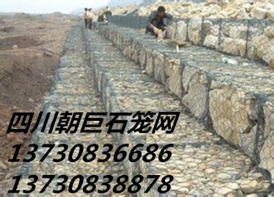 Ѵʯ\W(wng)ʯ\W(wng)Sҡʯ\W(wng)r\ʯ\W(wng)eW(wng)