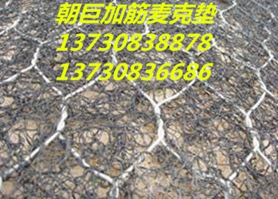 ·o(h)W(wng)ʯ\W(wng)Sʯ\W(wng)eW(wng)ʯ\W(wng)l(f)