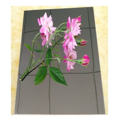 304R治P䓰 8kR治P