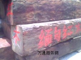 KݼtľM(jn)ڈ(bo)P(gun)