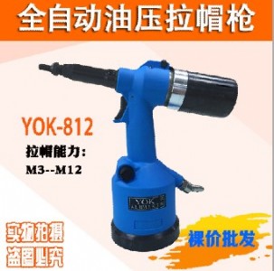 (yng)ȫԄ(dng)(dng)ñ Tĸ T yok-812