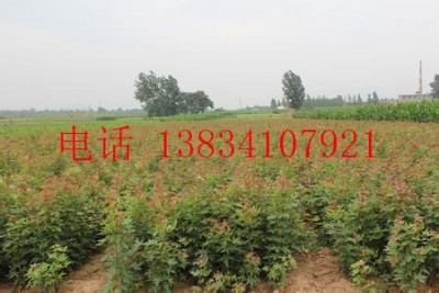2Ǘ-3Ǘ