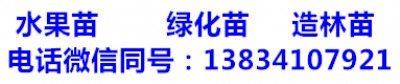 5և(gu)-6և(gu)