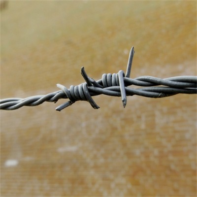 ӱ\KSҹ(yng)u\䓽zW(wng)¾GƤF
