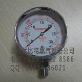 YEATHEI_(ti)75mmP0-30kpaȻ΢r(ji)