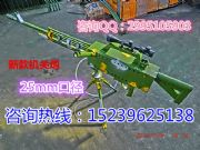 ΘڏS͙C(j)P(gun)ߚڃr(ji)