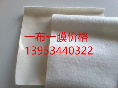 C300һһĤr