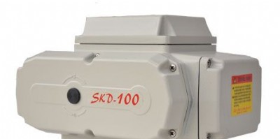 skd-100_P(gun)늄(dng)y