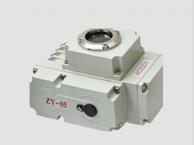 s늄(dng)(zh)zys-10