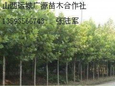 56ַͩ̓r(ji)
