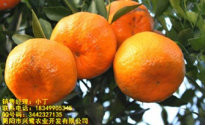 (ji)Ҋ(jin)c(din)(ji)Ҋ(jin)(ji)Ҋ(jin)Nֲg(sh)(ji)Ҋ(jin)