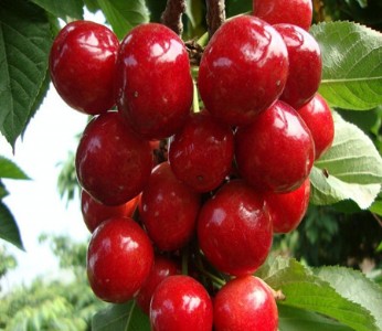 ຣ܇?yn)? /></div>
			<div   id=