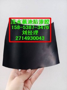(yng)ϣɏźNֲBĤ+B(yng)ֳBĤ