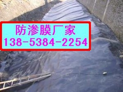 (yng)ຣ~(yu)|(zh)Ĥ|ˮa(chn)B(yng)ֳBĤ