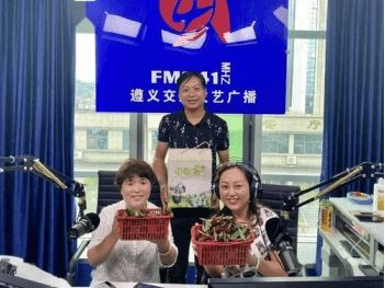 xͨVfm94.1VͶŃr(ji)x_(ti)(ji)Ŀ