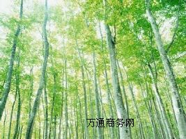 ؓx턩 ؓxht⾀턩
