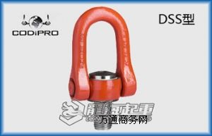RɭCODIPRO DSSD(zhun)h(hun)Ҏ(gu) 