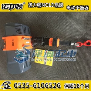 늄(dng)ƽ600kg,ZD늄(dng)ƽ,Bm(x)o(w)O׃