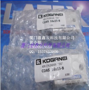 F(xin)؛koganeiС𾮚cdas16*15-b
