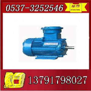 ybk2-132s1-2늙C