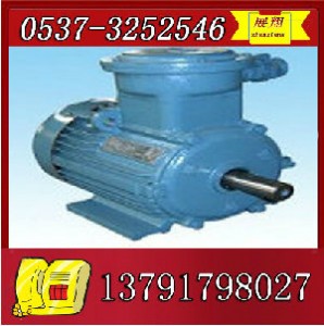 ybk2-250m-2늙C(j)