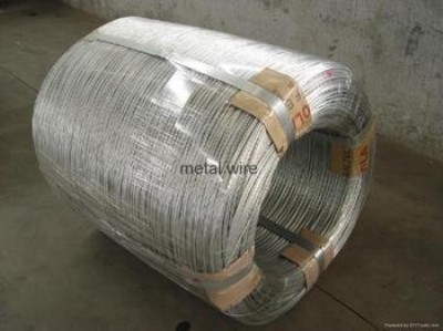 (yng)sus416 430PF