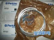 ˹perkins͙C(j)F(xin)؛l(f)ژI(y)\