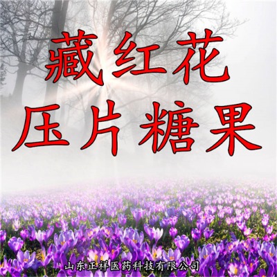 ؼtƬ tƬ Ƭ Ƭ oem/odm