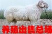 Сβĸ(D)