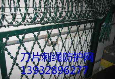 O(jin)zƬ̾W(wng)ڱO(jin)zƬK