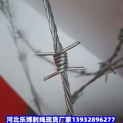 ̾FzGݲPFzW(wng)S·B(yng)oFzW(wng)