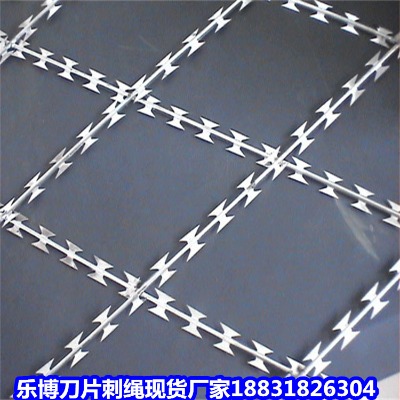 (ni)ɹ\KS Ӱȫo(h)x S(zhn)Ix䓾W(wng)