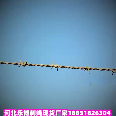 㽭\KS 14̖ȦдFzW(wng)