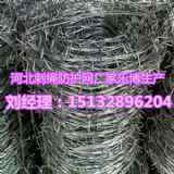 ·̾W(wng)hȦɽGɫFzW(wng)SҬF(xin)؛