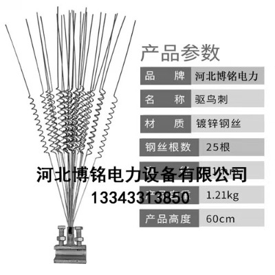 _ ·BP䓷B̏ͷBB