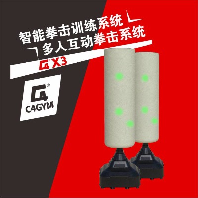智能拳擊靶多人拳擊訓(xùn)練系統(tǒng)減脂健身房器材體育教學(xué)器材